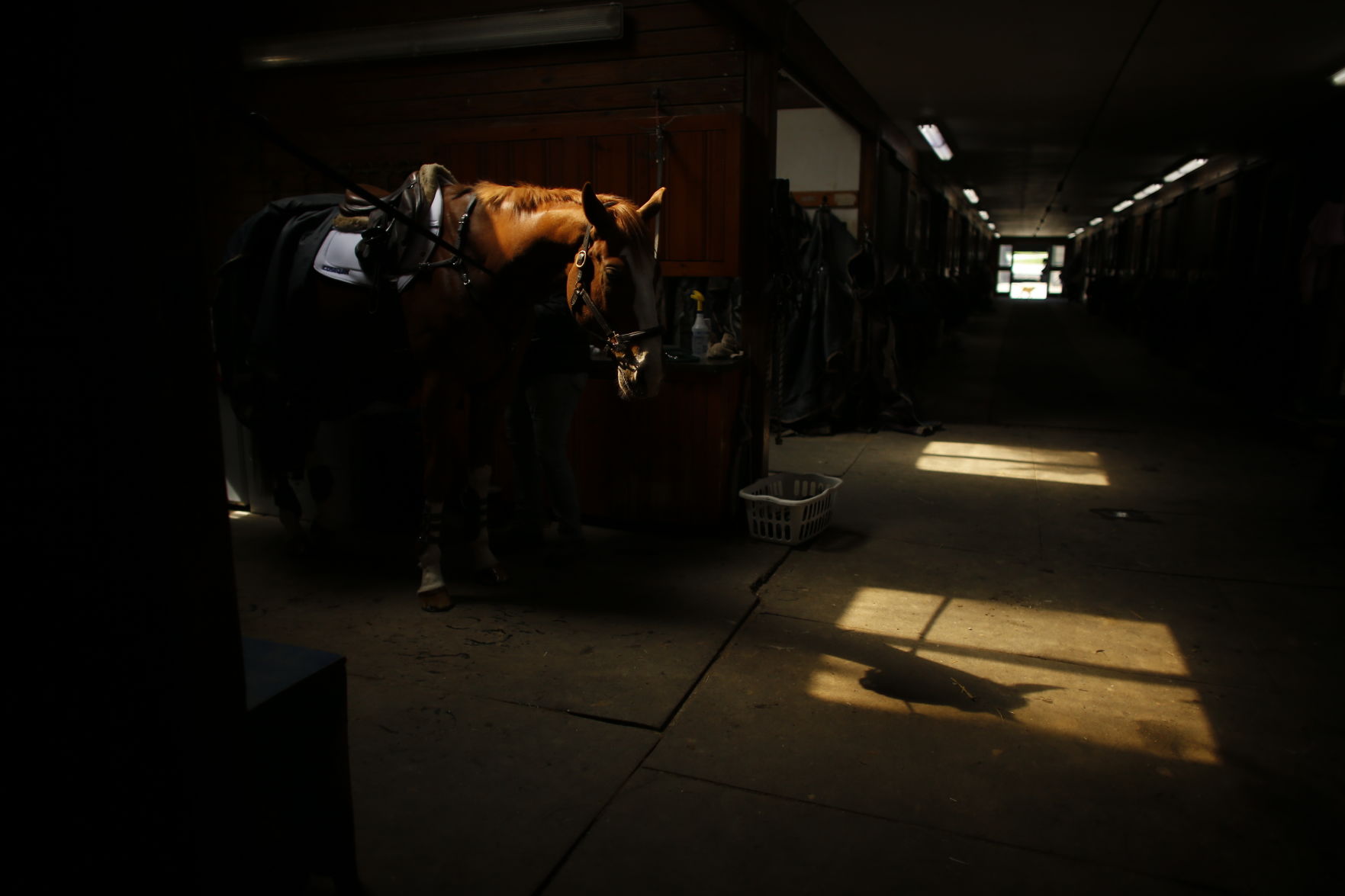 Virus Outbreak Olympic Equestrian Photo Gallery